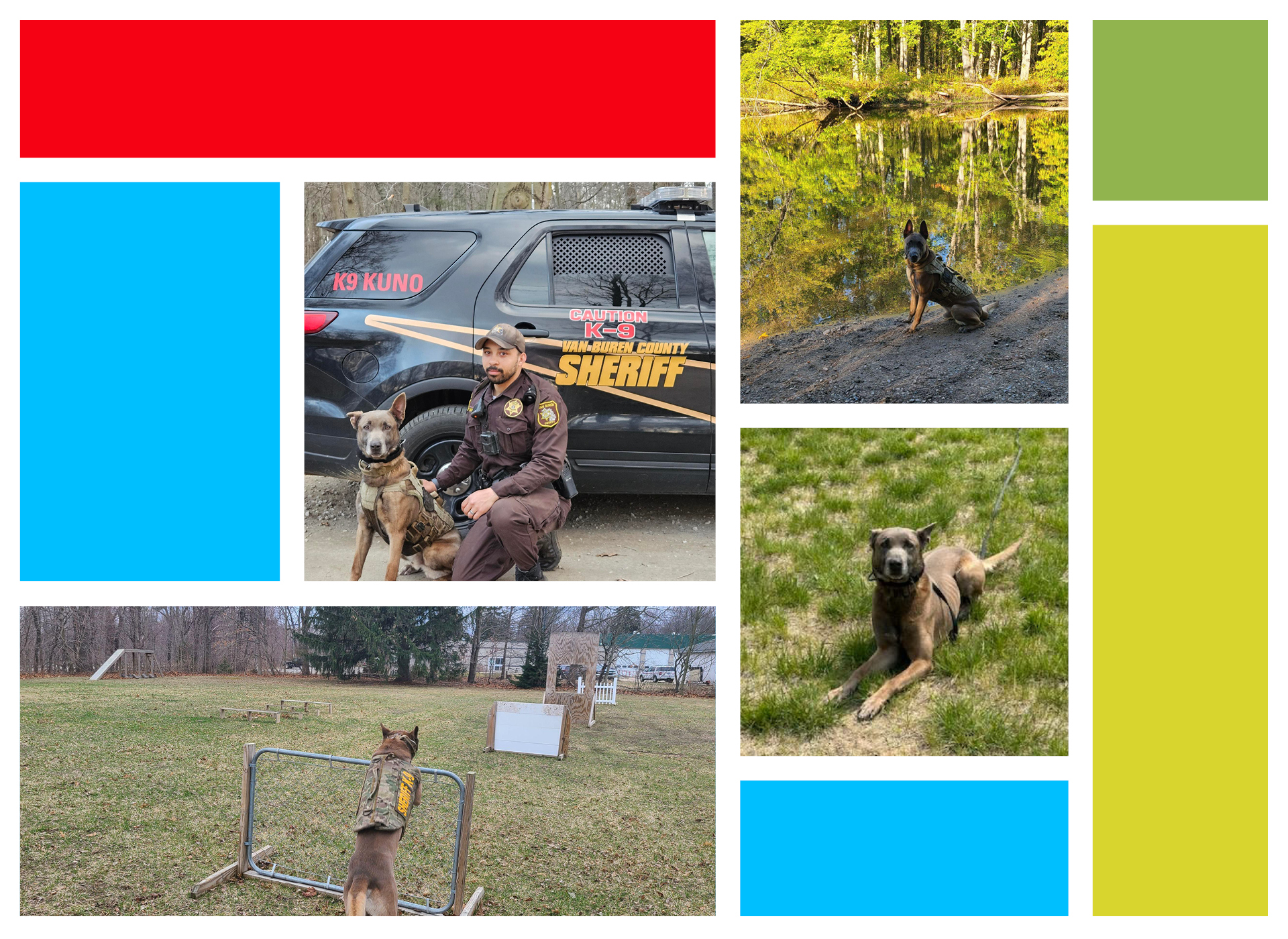 four-picture collage of kuno, a brown police dog